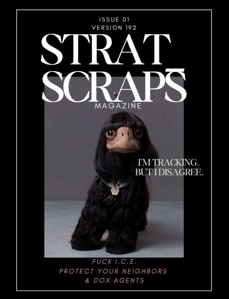 Thumbnail of STRATSCRAPS_v192