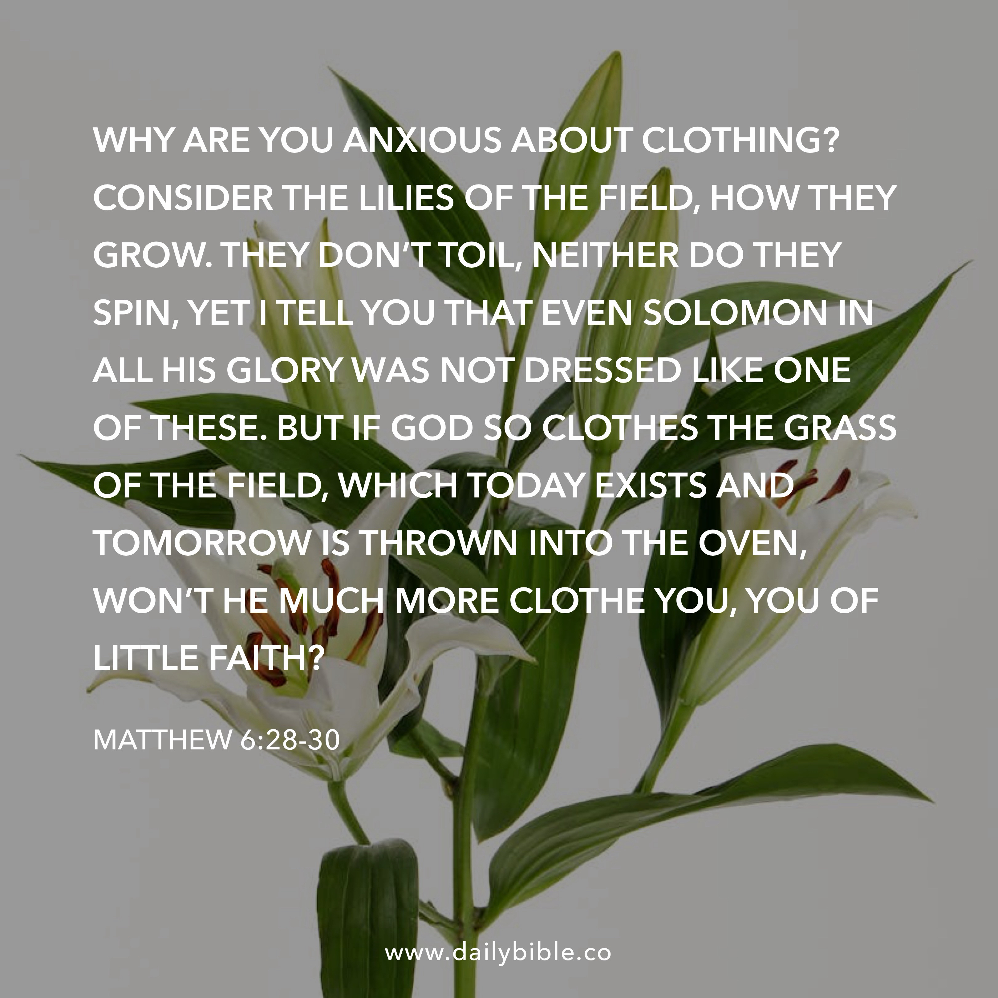 Preview of cb05148de713-jpg