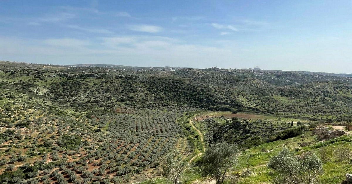 Thumbnail of שכונות חדשות במאחזים ובהתנחלויות נבנות בצמוד לשמורות טבע | דעה
