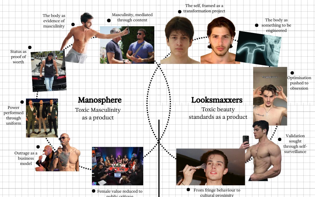 Thumbnail of From Manosphere to Looksmaxxing