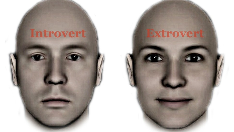 Thumbnail of The Introverted Face