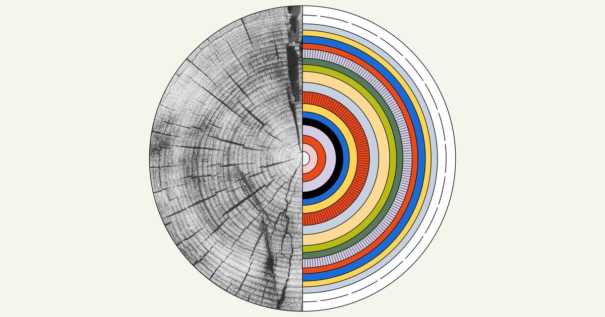 Thumbnail of Social Investment Solutions  • Cotton Design