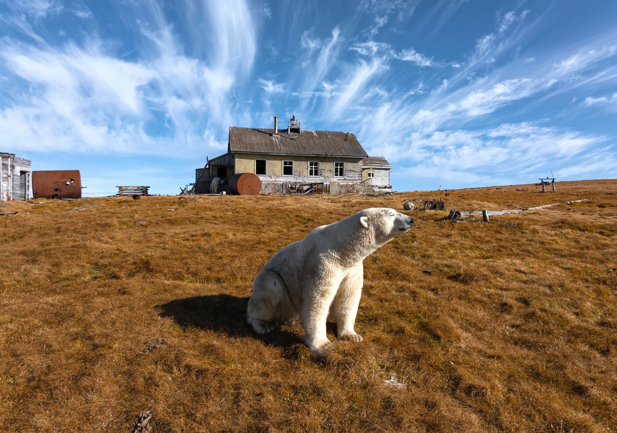 Thumbnail of Found on Cosmos