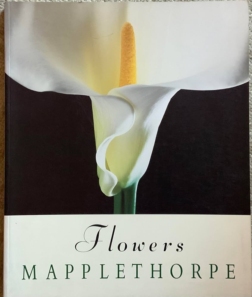 Thumbnail of robert mapplethorpe flowers - Google Search