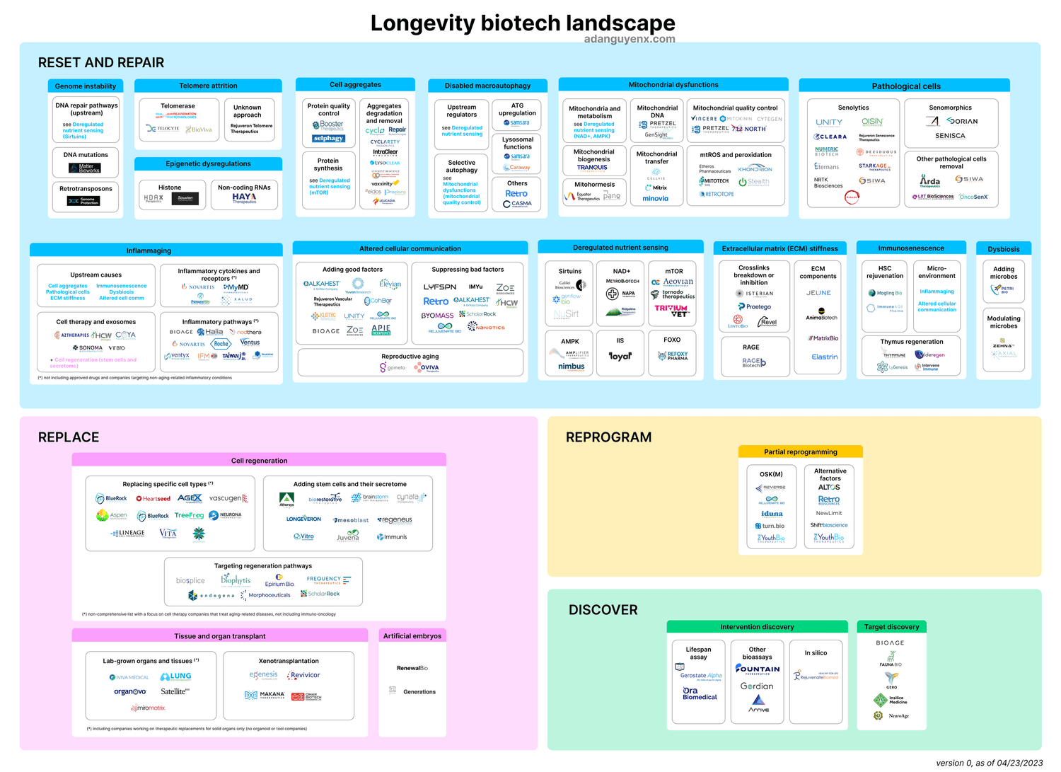 Thumbnail of Longevity Biotech Landscape — Ada Nguyen