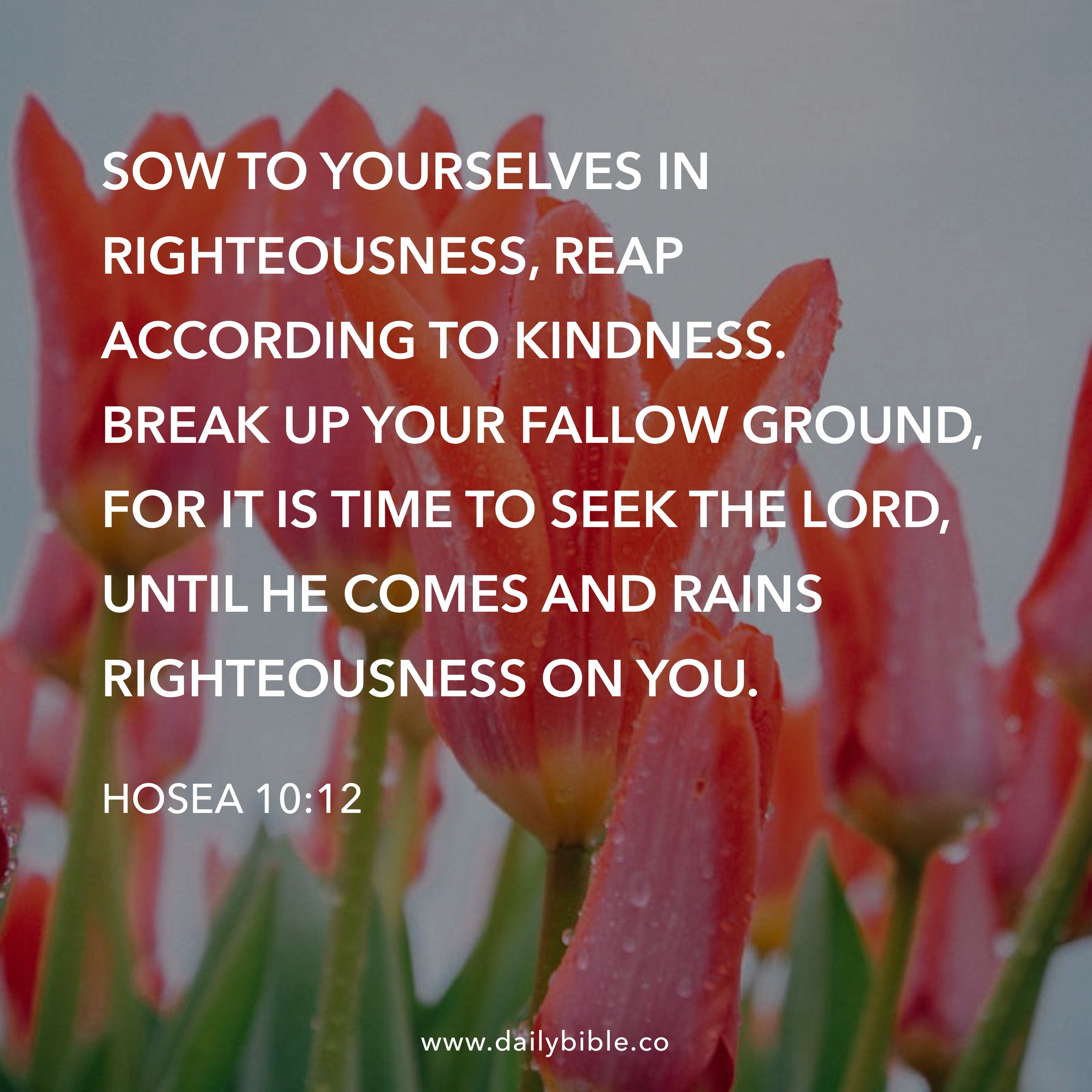 Preview of bd02cb216c1c-jpg