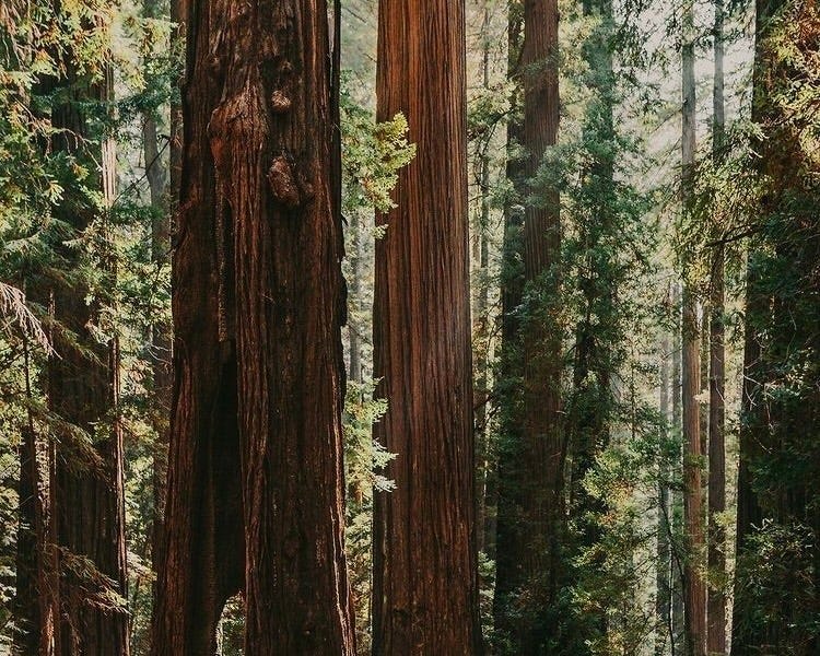 Thumbnail of The Quiet Rebellion: Entrepreneurs Who Found Success By Ignoring Conventional Wisdom