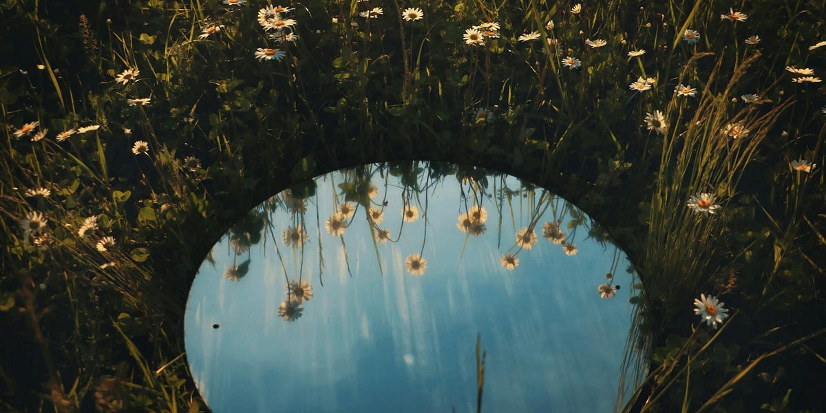 Thumbnail of Shut Up and Thrive: My Counterintuitive Path To Personal Power