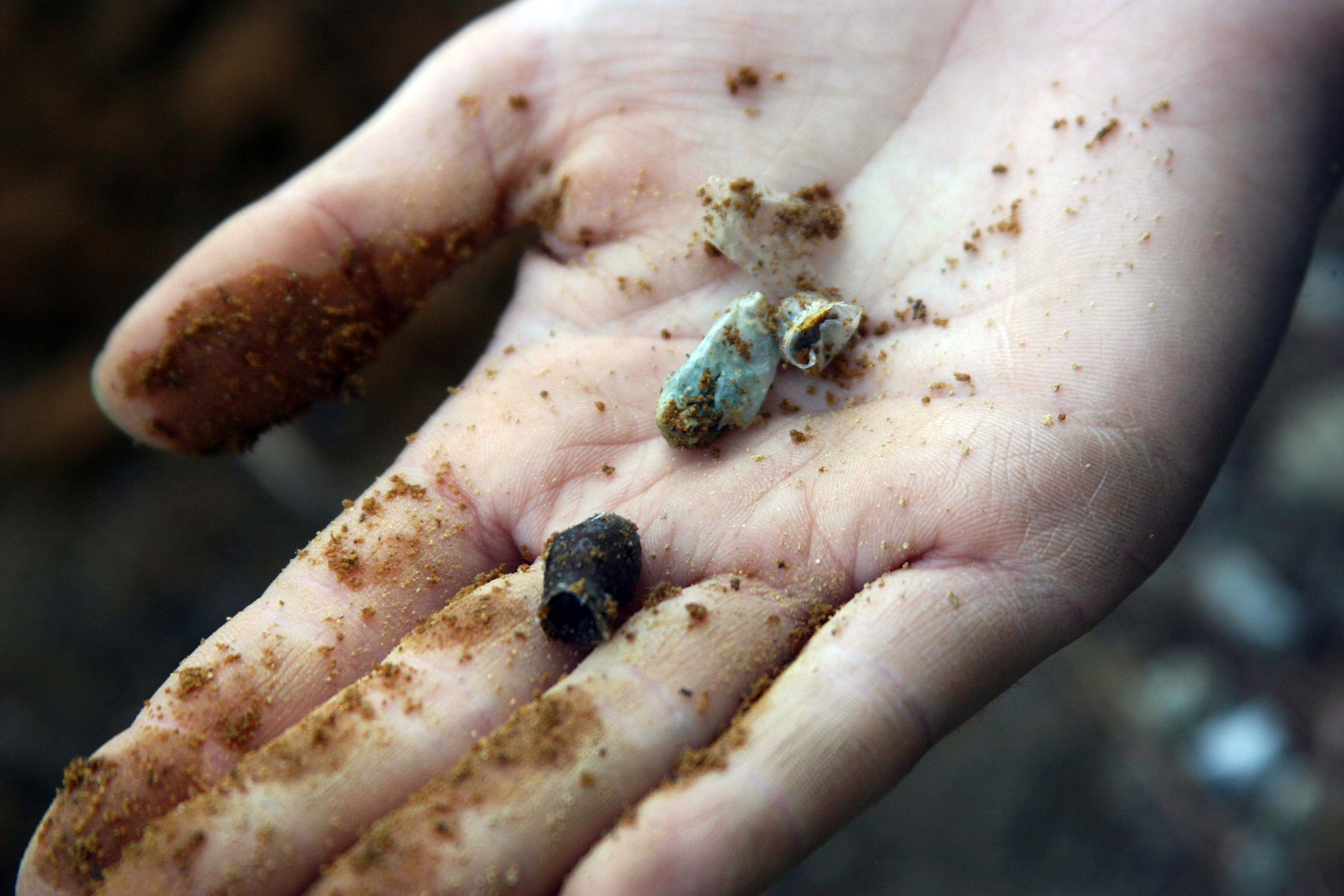 Thumbnail of We Need More Than Fewer, Better Things