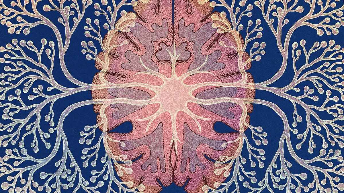 Thumbnail of The Hidden Rewards of Exercising Your Creativity