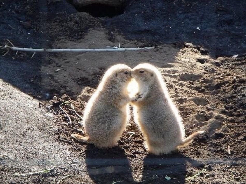 Preview of 1280-jpeg-7ec9a39c2dd742ea