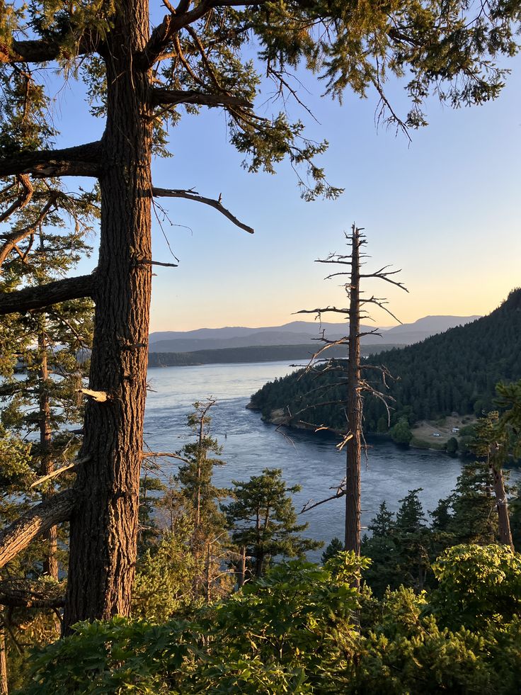 Preview of 2ca0b65d7f29-jpeg