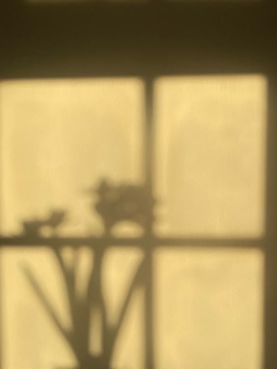 Thumbnail of Isabelle 🍂