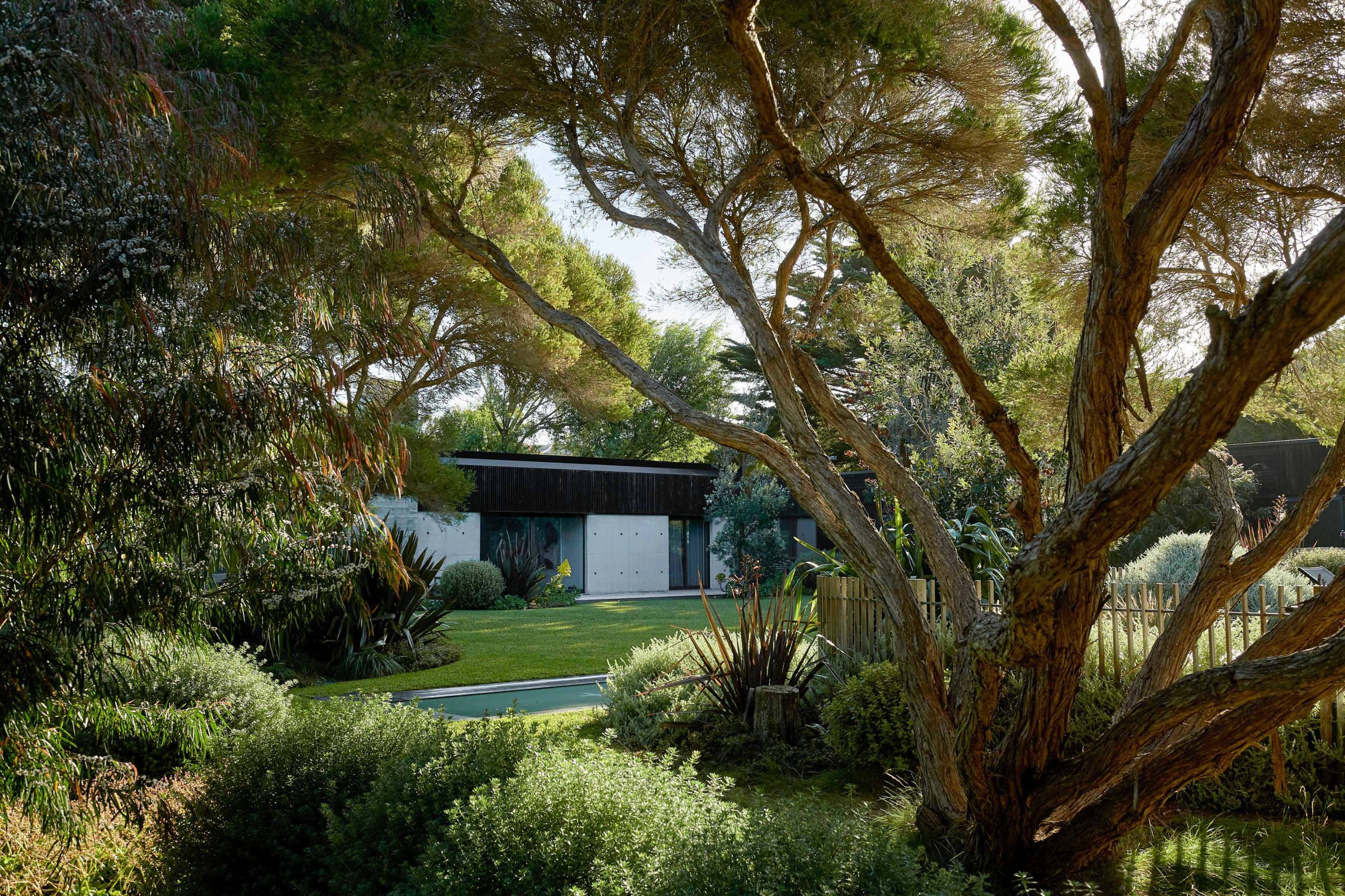 Thumbnail of Fiona Brockhoff: Why Garden? - Wonderground