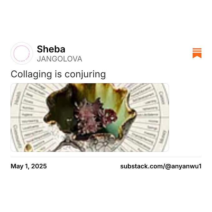 Thumbnail of Sheba on Substack
