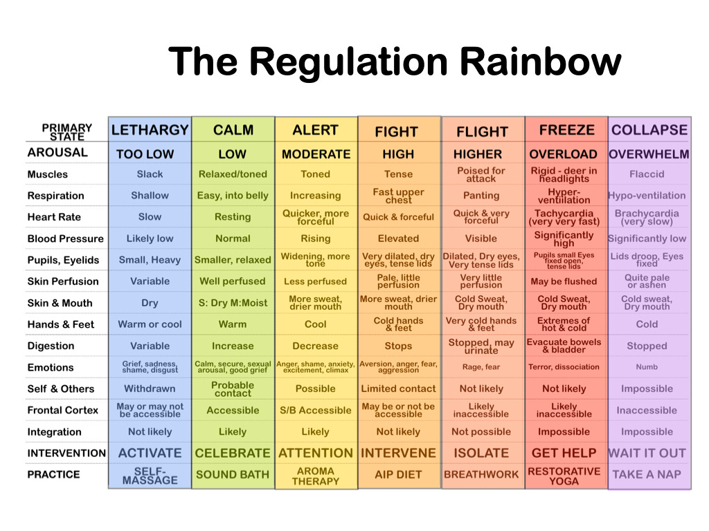 Thumbnail of Ellen Heed (@ellegato)