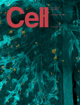 Thumbnail of ScienceDirectScienceDirect