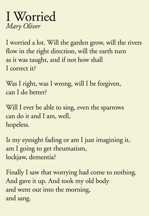 Thumbnail of violetbronte