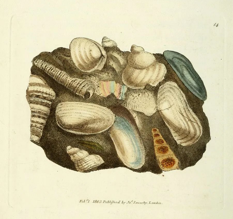Thumbnail of figures