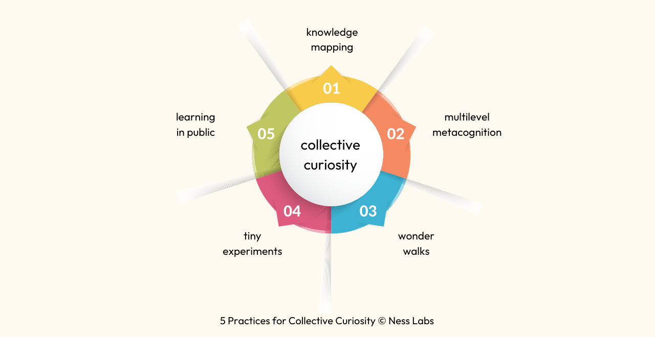 Thumbnail of The Multiplier Effect of Collective Curiosity - Ness Labs