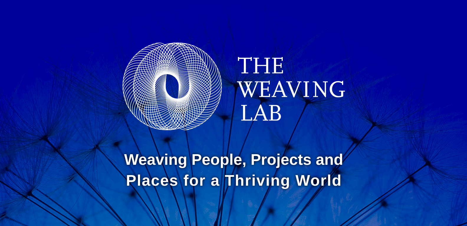 Thumbnail of Join The Weaving Lab's community platform