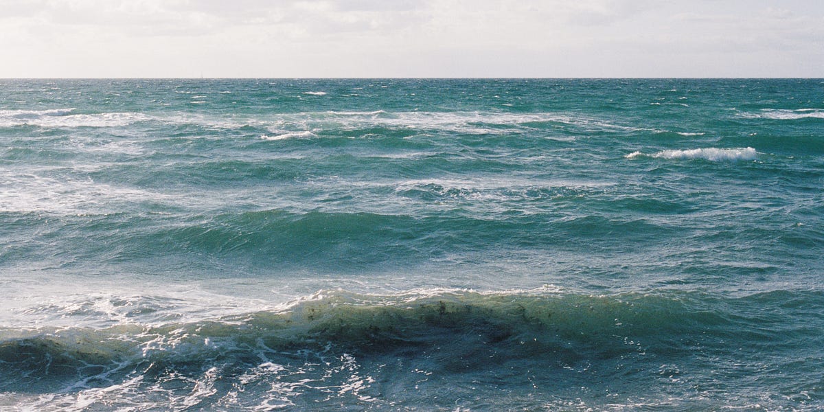 Thumbnail of All a girl wants is to be described