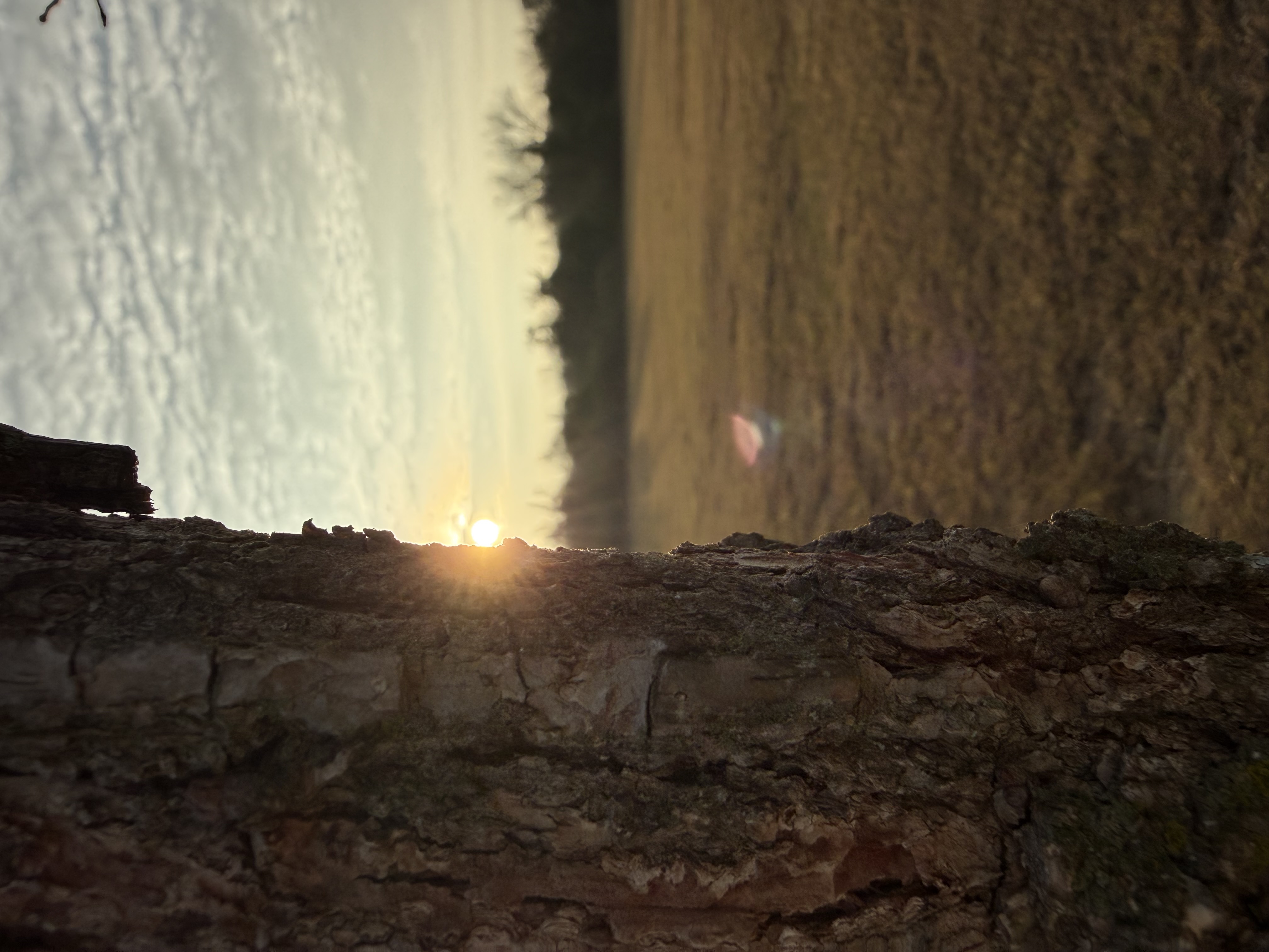 Preview of 88f7d23116a4-jpeg