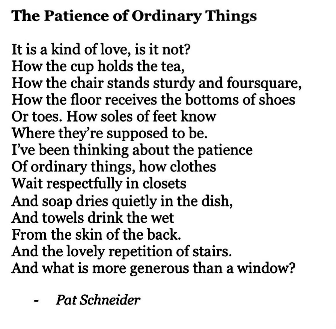 Thumbnail of the patience of ordinary things poem - Google Search