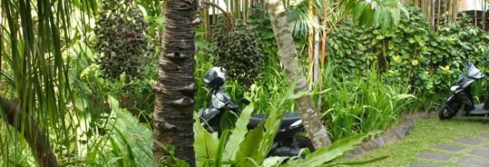 Thumbnail of The 1000 Day Rule : What Living the Dream Really Looks Like