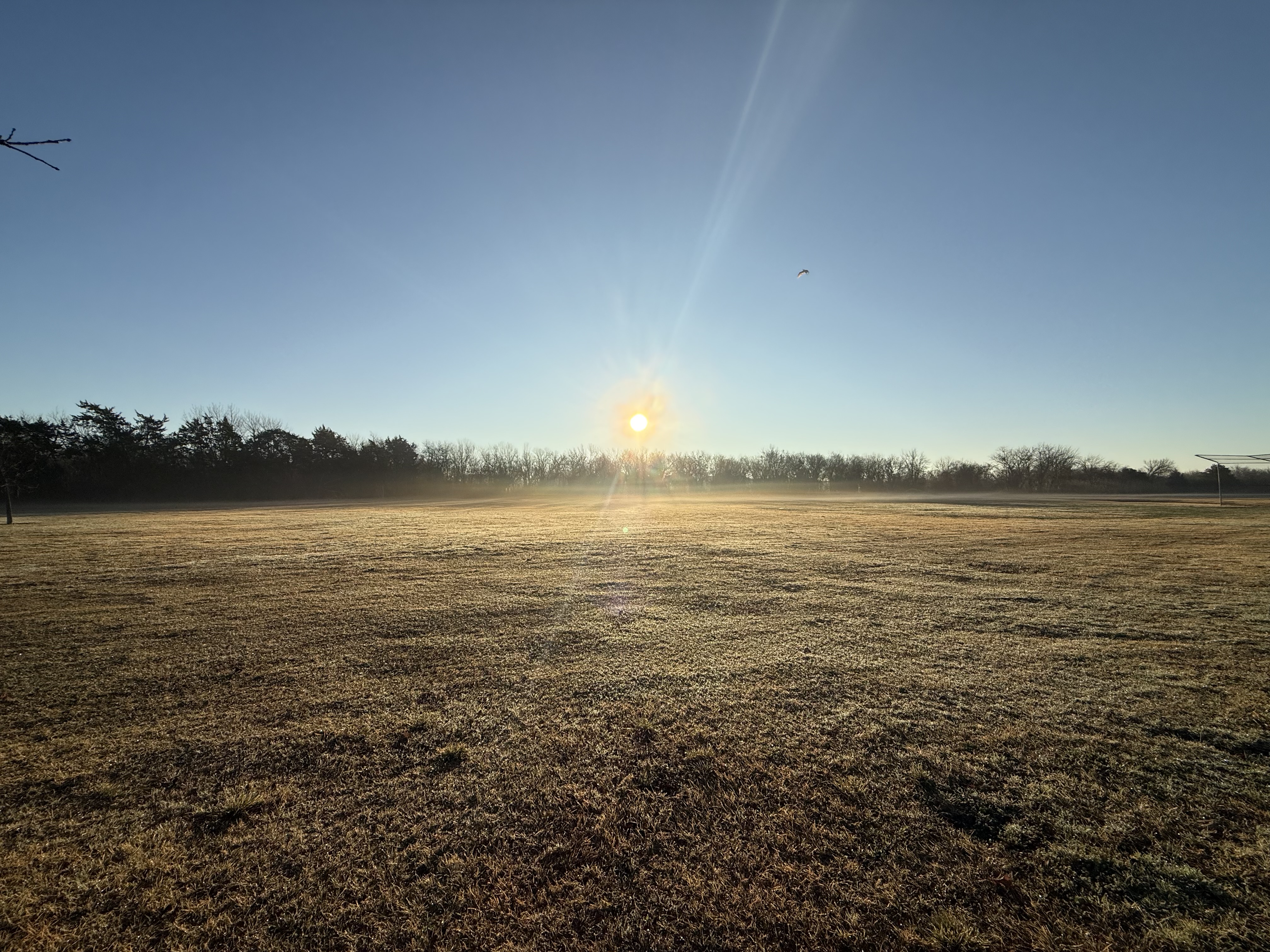 Preview of dac4abe9c4e6-jpeg