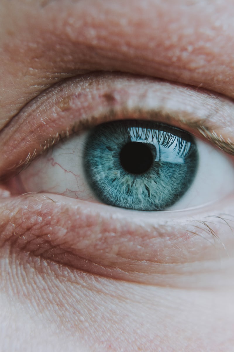 Thumbnail of Photo by Lana Graves on Unsplash