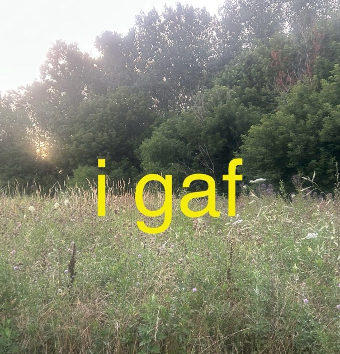 Thumbnail of I do… Do you? | Tim Nolan ™