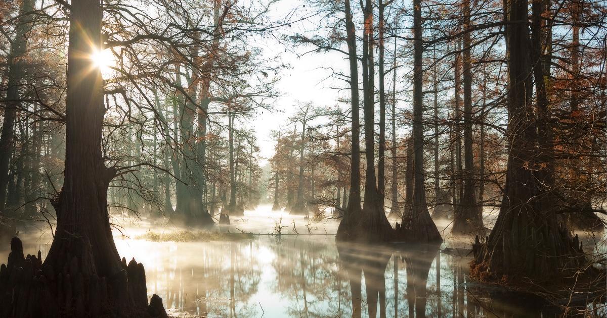 Thumbnail of Attention Required! | Cloudflare