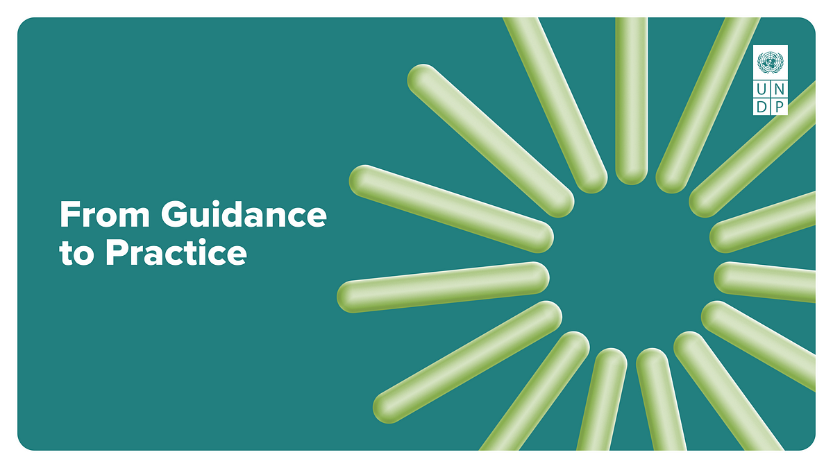 Thumbnail of From Guidance to Practice: Reflections on the Evolving Systems MEL Journey