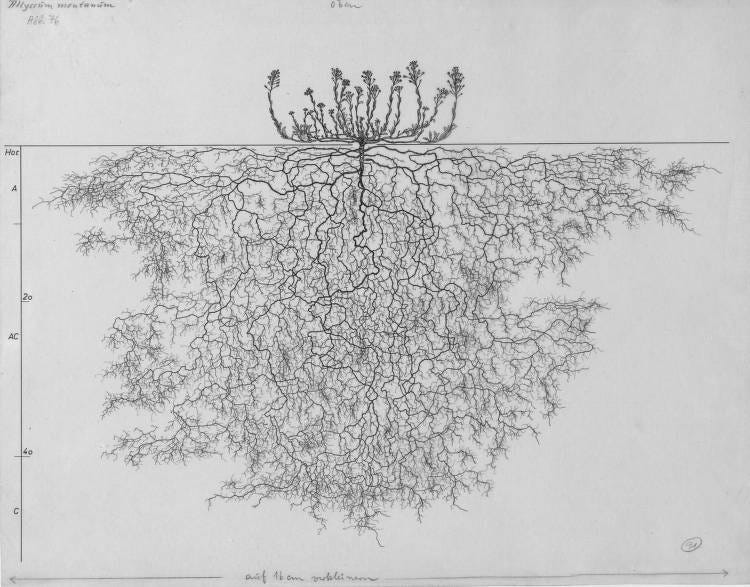 Thumbnail of How to think in writing