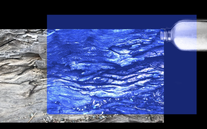 Thumbnail of Your Mating Call Is Important To Us: A Sonic Apothecary for Synanthropes – Theatrum Mundi