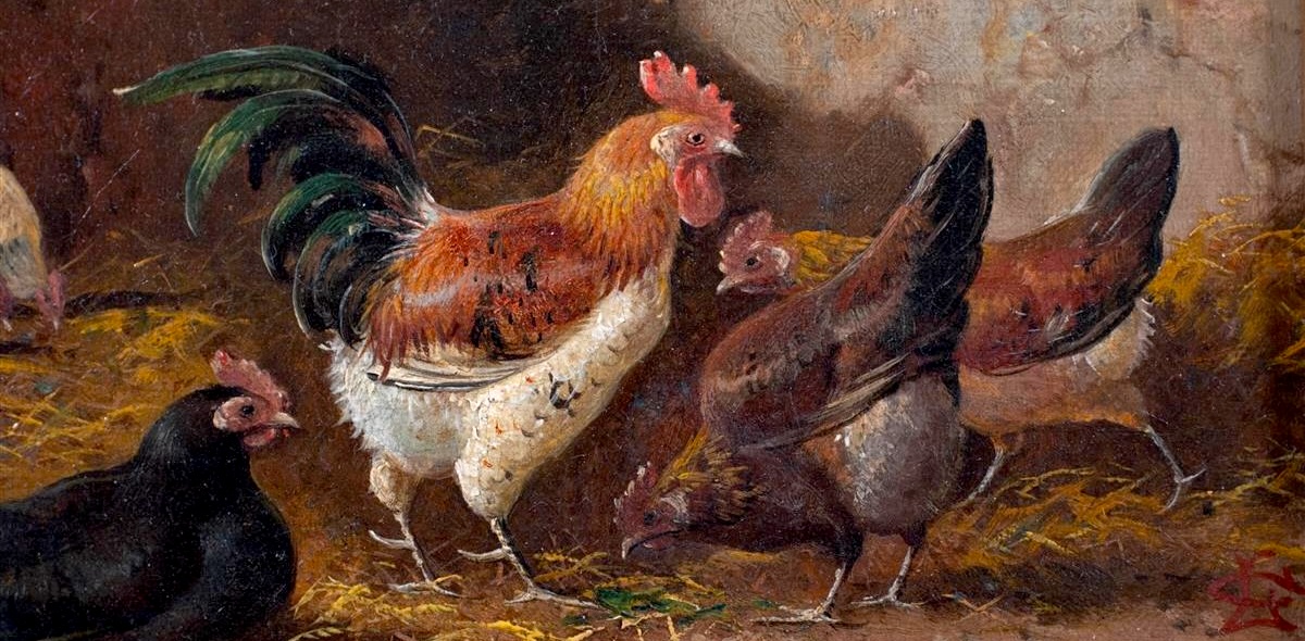 Thumbnail of You Want to Be a Better Writer? Observe Chicken Behavior