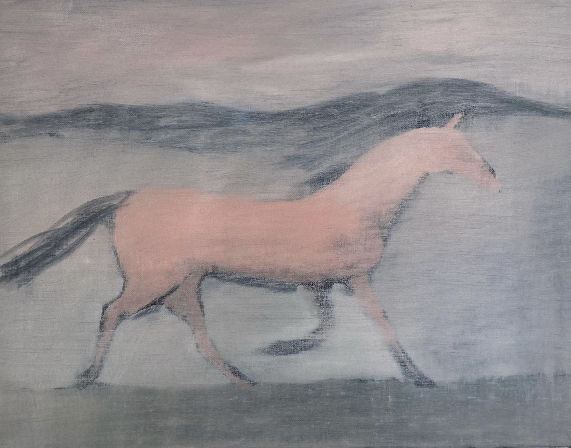 Thumbnail of Desert horses