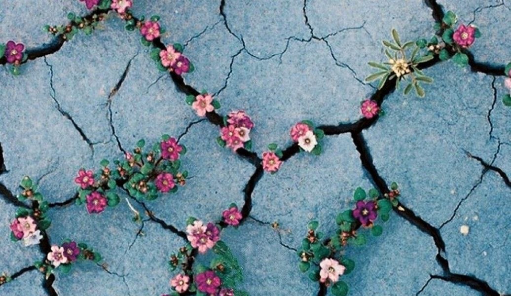 Thumbnail of The immeasurable