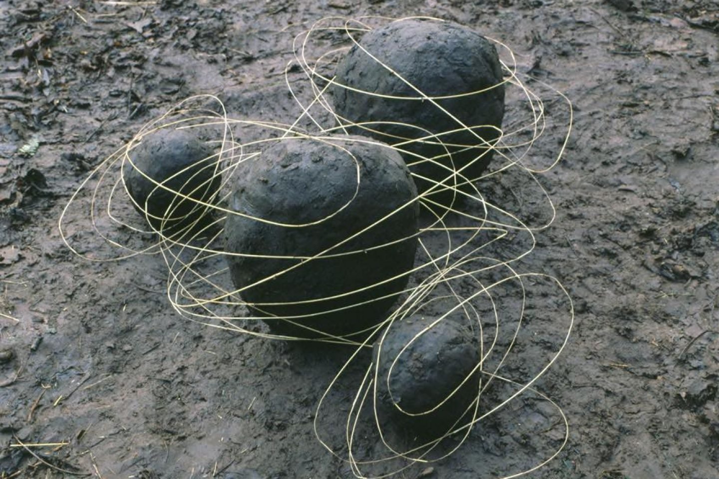 Thumbnail of Andy Goldsworthy’s Land Art Photography - IGNANT