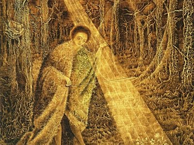 Thumbnail of DIVINE TECHNOLOGY: The Harmonic Secret of Living Forms