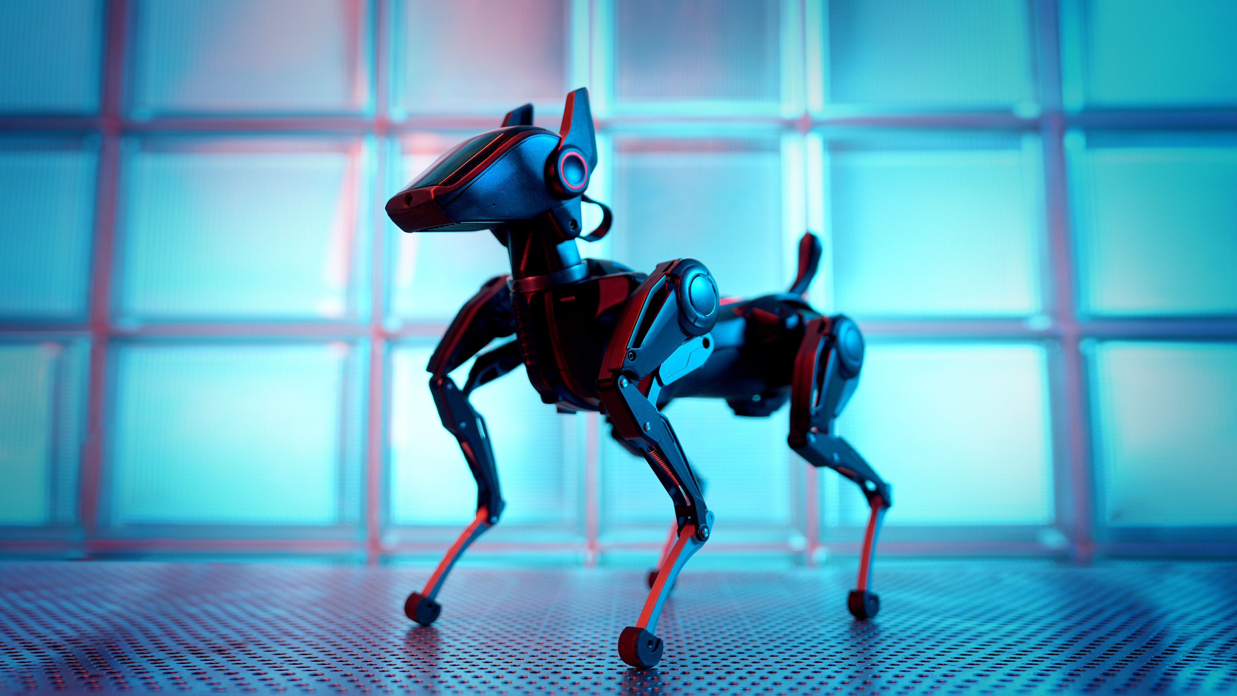 Thumbnail of Are AI pets the future for mankind? Meet Sirius, the AI-powered robot dog that will never want to go for a walk in the rain