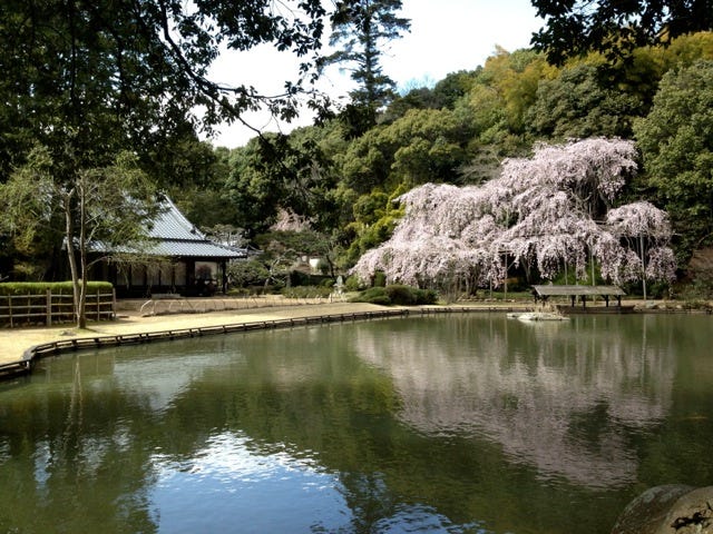 Thumbnail of When Did Things Begin to Unmistakably Shift in Your Practice?