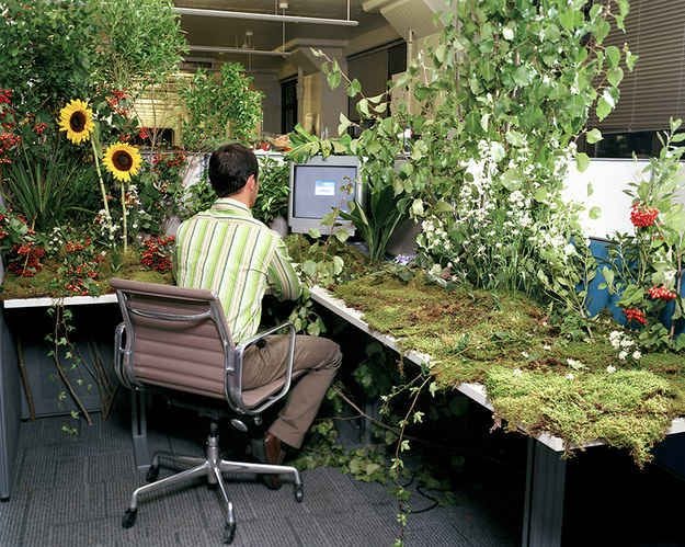 Thumbnail of Your ideas need a home: grow your digital garden in 2026