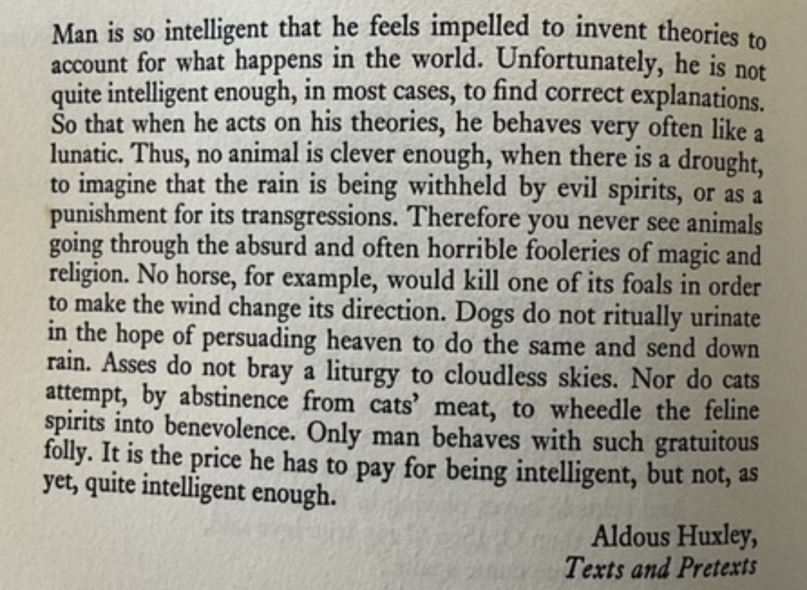 Preview of ccdca89d-jpeg