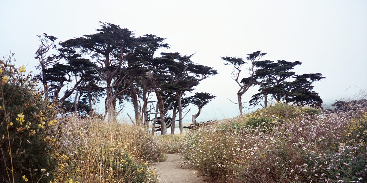 Thumbnail of Ten things, part five