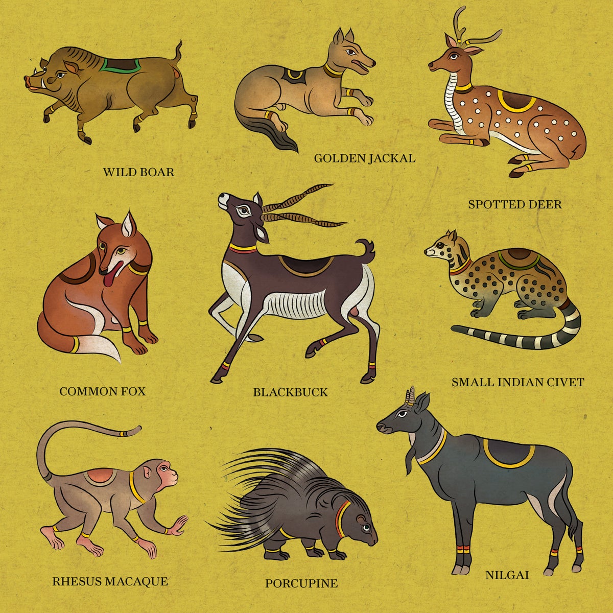 Thumbnail of Folk Art Can Be a Powerful Tool for Explaining Biodiversity