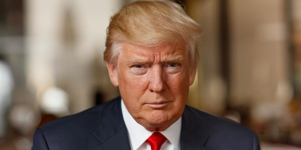 Thumbnail of A Constitutional Void