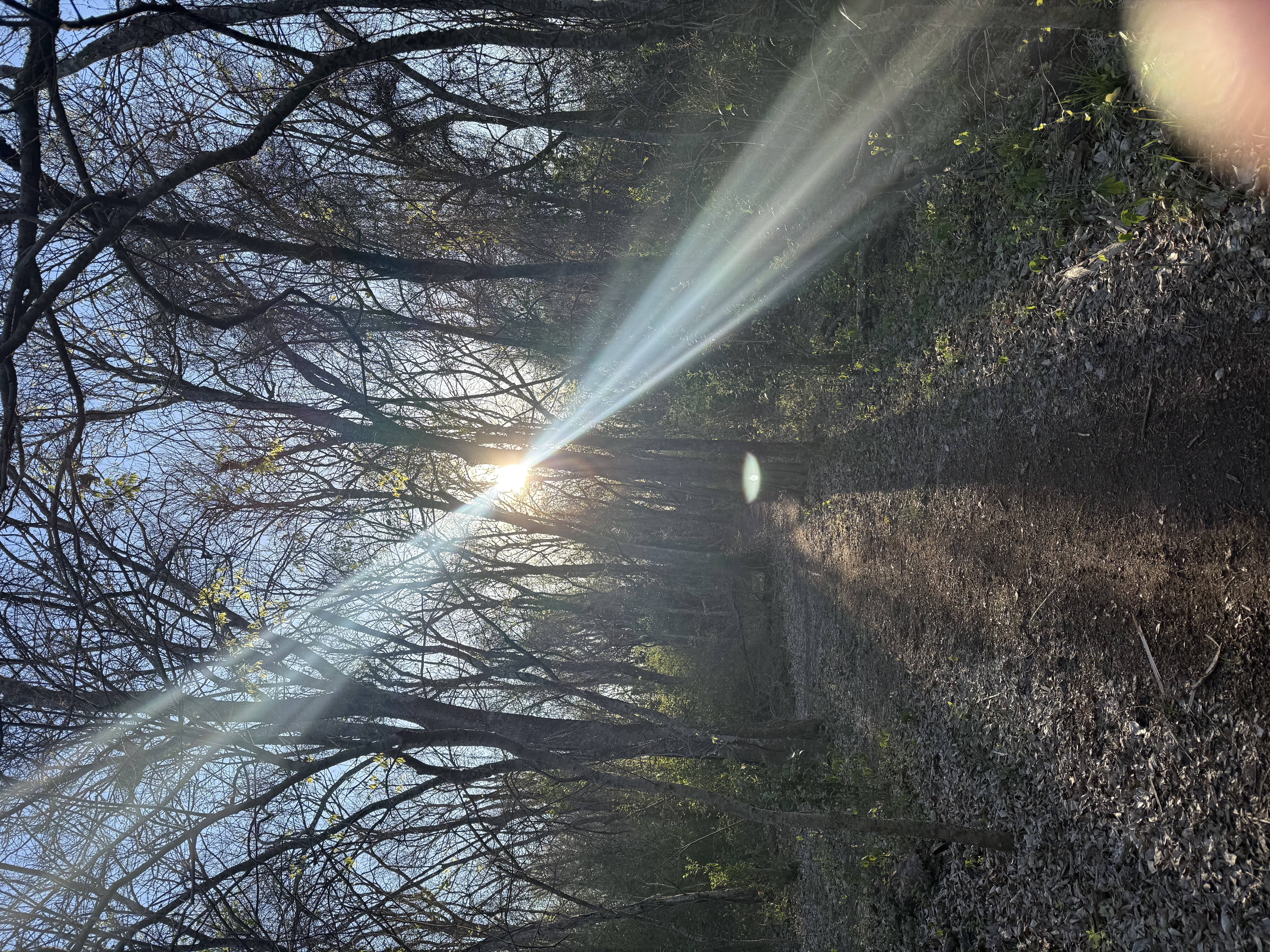 Preview of 43ef147a4046-jpeg