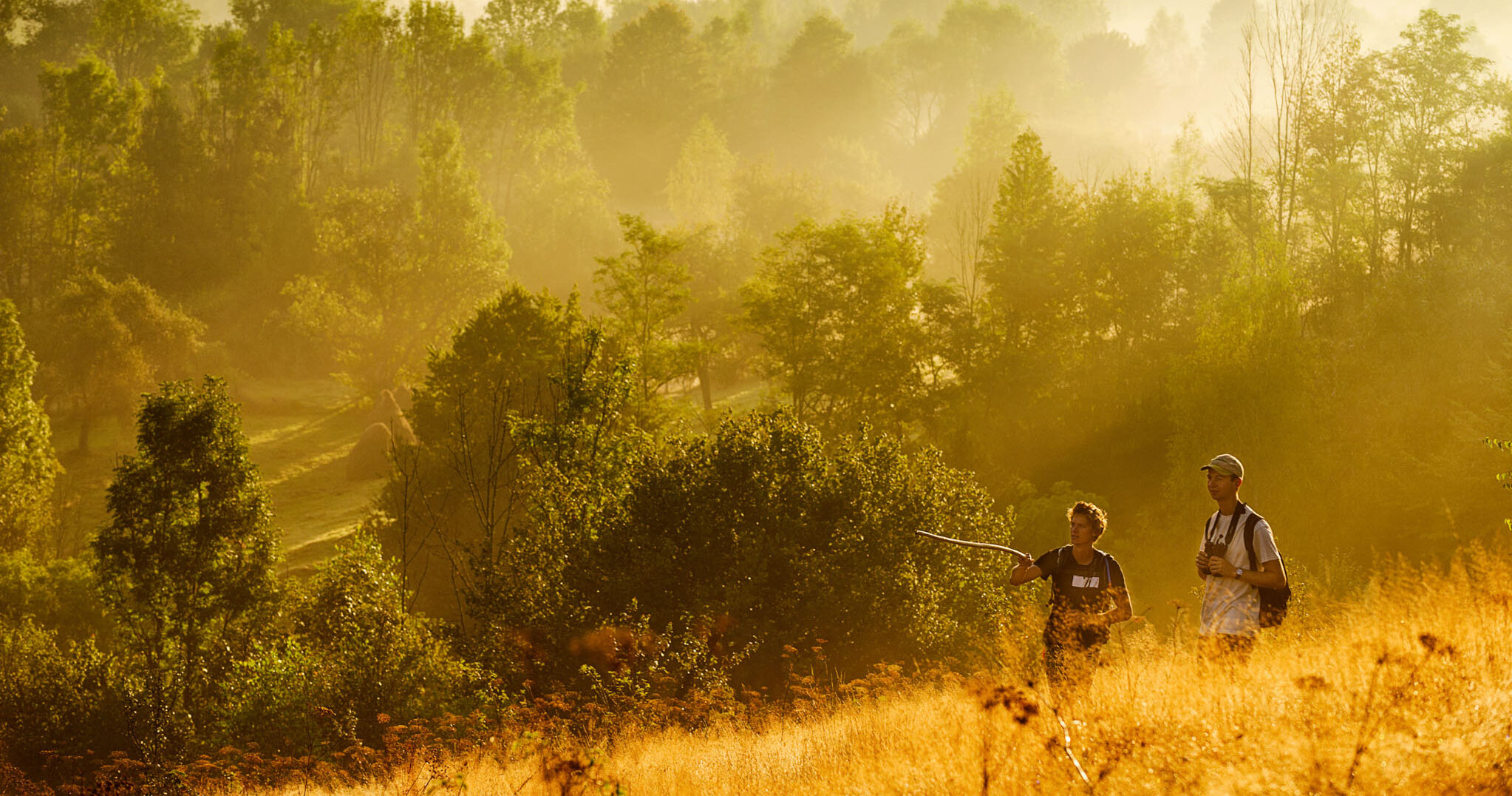 Thumbnail of Rewilding job alert: we are looking for you!